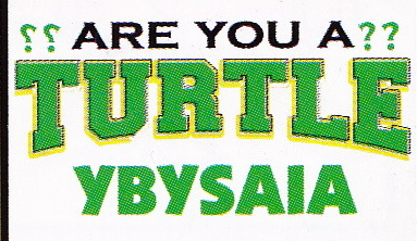 Are you a Turtle 
